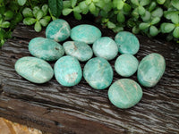 Polished Amazonite Palm Stones x 12 from Madagascar