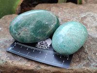 Polished Amazonite Palm Stones x 12 from Madagascar