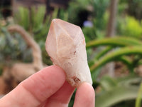 Natural Pineapple Candle Quartz Crystals x 35 From Antsirabe, Madagascar