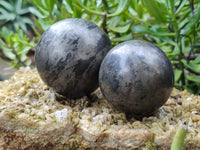 Polished Pharaoh Stone Spheres x 2 From Zimbabwe