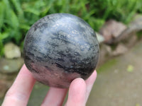 Polished Pharaoh Stone Spheres x 2 From Zimbabwe