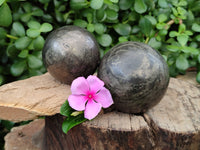 Polished Pharaoh Stone Spheres x 2 From Zimbabwe