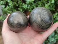 Polished Pharaoh Stone Spheres x 2 From Zimbabwe