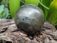 Polished Pharaoh Stone Spheres x 2 From Zimbabwe