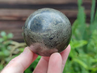 Polished Pharaoh Stone Spheres x 2 From Zimbabwe