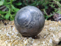 Polished Pharaoh Stone Spheres x 2 From Zimbabwe