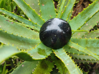 Polished Black Basalt Palm Stones x 12 From Antsirabe, Madagascar