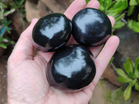 Polished Black Basalt Palm Stones x 12 From Antsirabe, Madagascar