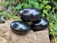 Polished Black Basalt Palm Stones x 12 From Antsirabe, Madagascar