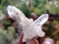 Natural Quartz Clusters x 35 From Mpika, Zambia