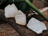 Natural Quartz Crystals x 12 From Madagascar