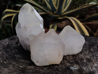 Natural Quartz Crystals x 12 From Madagascar