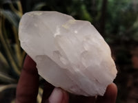 Natural Quartz Crystals x 12 From Madagascar