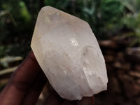 Natural Quartz Crystals x 12 From Madagascar