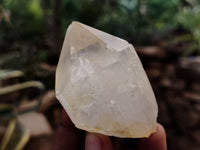 Natural Quartz Crystals x 12 From Madagascar