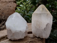 Natural Quartz Crystals x 12 From Madagascar