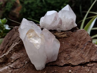 Natural Quartz Crystals x 12 From Madagascar