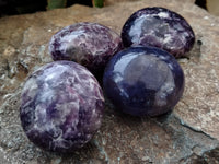 Polished Lepidolite with Pink Rubellite Palm Stones x 24 From Ambatondrazaka, Madagascar