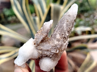 Natural Drusy Quartz Coated Calcite Pseudomorph Specimens x 20 From Alberts Mountain, Lesotho