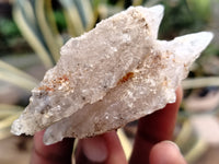 Natural Drusy Quartz Coated Calcite Pseudomorph Specimens x 20 From Alberts Mountain, Lesotho