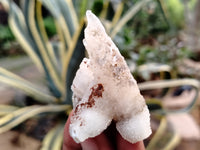 Natural Drusy Quartz Coated Calcite Pseudomorph Specimens x 20 From Alberts Mountain, Lesotho