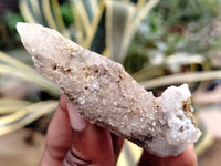 Natural Drusy Quartz Coated Calcite Pseudomorph Specimens x 20 From Alberts Mountain, Lesotho