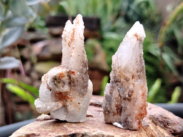 Natural Drusy Quartz Coated Calcite Pseudomorph Specimens x 20 From Alberts Mountain, Lesotho