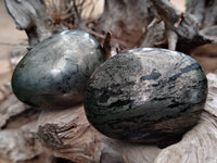 Polished Pharaoh Stone Palm Stones x 6 From Zimbabwe