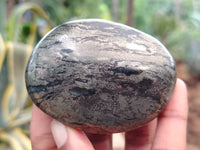 Polished Pharaoh Stone Palm Stones x 6 From Zimbabwe