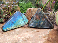 Polished Labradorite Standing Free Forms x 3 From Tulear, Madagascar