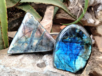 Polished Labradorite Standing Free Forms x 3 From Tulear, Madagascar