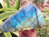 Polished Labradorite Standing Free Forms x 3 From Tulear, Madagascar