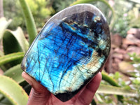 Polished Labradorite Standing Free Forms x 3 From Tulear, Madagascar