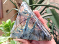 Polished Labradorite Standing Free Forms x 3 From Tulear, Madagascar