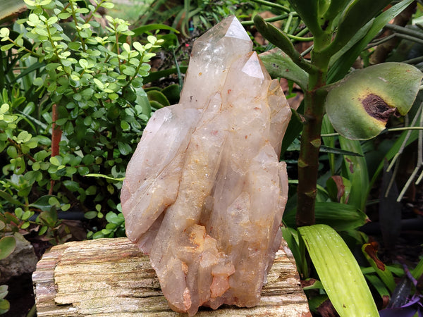 Natural Quartz Cluster x 1 From Angola