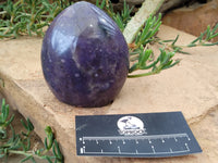 Polished Lepidolite Standing Free Forms x 2 From Ambatondrazaka, Madagascar