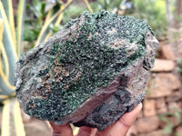 Natural Libethenite Crystals On Dolomite Matrix Specimen x 1 From Shituru, Congo