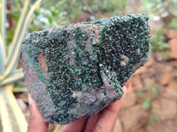 Natural Libethenite Crystals On Dolomite Matrix Specimen x 1 From Shituru, Congo