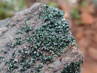 Natural Libethenite Crystals On Dolomite Matrix Specimen x 1 From Shituru, Congo