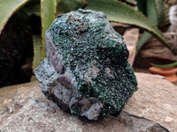 Natural Libethenite Crystals On Dolomite Matrix Specimen x 1 From Shituru, Congo