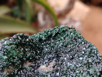 Natural Libethenite Crystals On Dolomite Matrix Specimen x 1 From Shituru, Congo