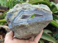 Natural Blue Lace Agate Geode Specimens x 2 From Malawi