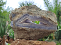 Natural Blue Lace Agate Geode Specimens x 2 From Malawi