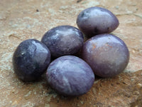 Polished Lepidolite with Pink Rubellite Palm Stones x 24 From Ambatondrazaka, Madagascar