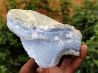 Natural Blue Lace Agate Geode Specimens x 3 From Malawi