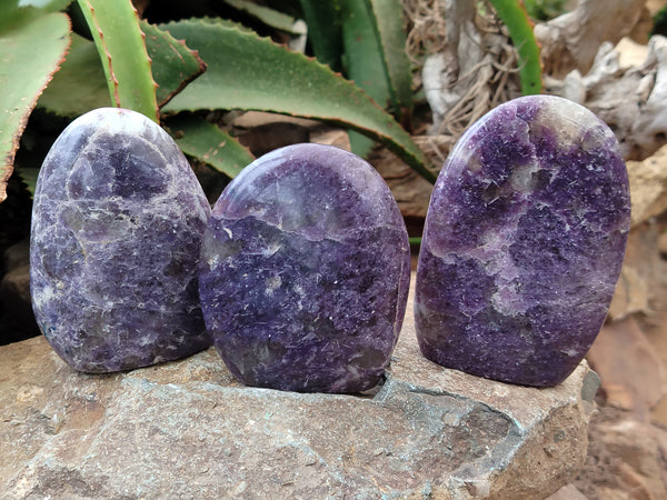 Polished Lepidolite Standing Free Forms x 6 From Ambatondrazaka, Madagascar