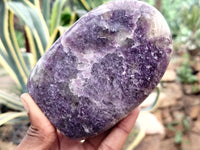 Polished Lepidolite Standing Free Forms x 6 From Ambatondrazaka, Madagascar