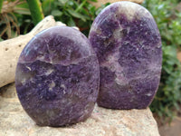 Polished Lepidolite Standing Free Forms x 6 From Ambatondrazaka, Madagascar