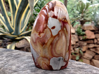 Polished Polychrome Jasper Standing Free Forms x 2 From Mahajanga, Madagascar