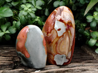 Polished Polychrome Jasper Standing Free Forms x 2 From Mahajanga, Madagascar